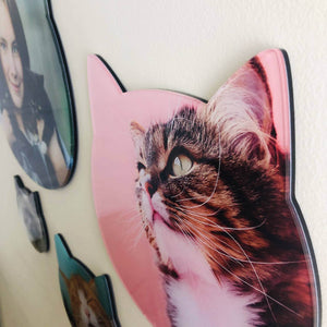 AcryliPics™ Cat Acrylic Prints Photo Tiles